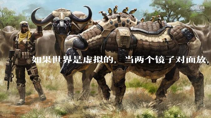 如果世界是虚拟的，当两个镜子对面放，将会无限反射，会不会将 cpu 算力耗光？