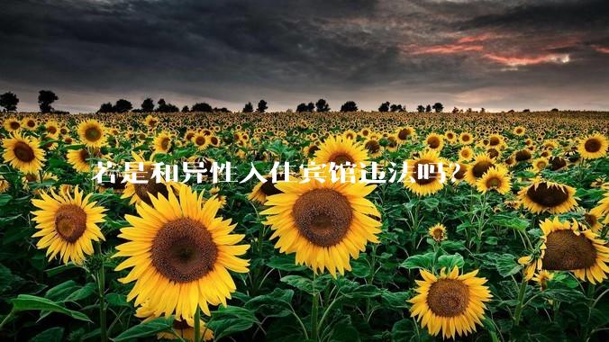 若是和异性入住宾馆违法吗？