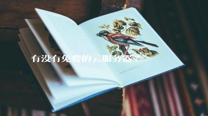 有没有免费的云服务器?
