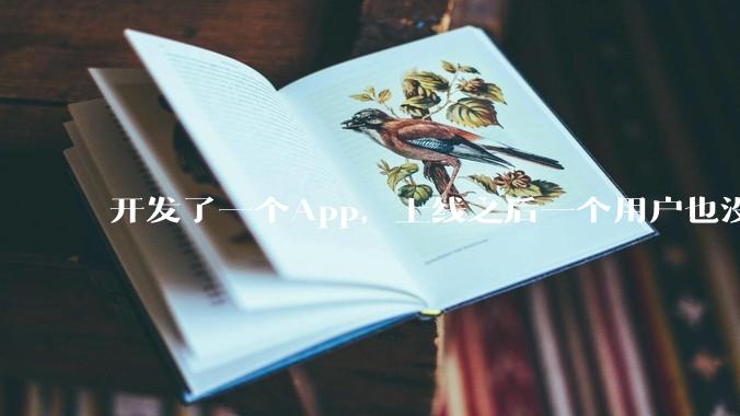开发了一个App，上线之后一个用户也没有怎么办?