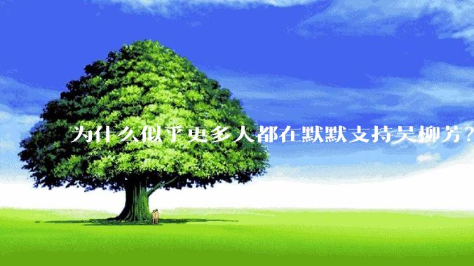 为什么似乎更多人都在默默支持吴柳芳？管晨辰是否做错了？