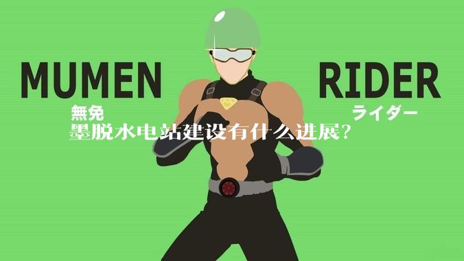 墨脱水电站建设有什么进展？
