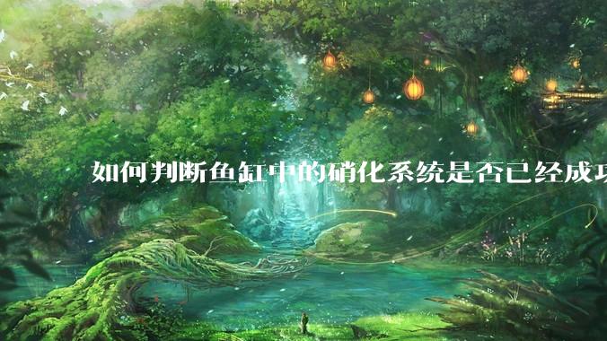 如何判断鱼缸中的硝化系统是否已经成功建立？