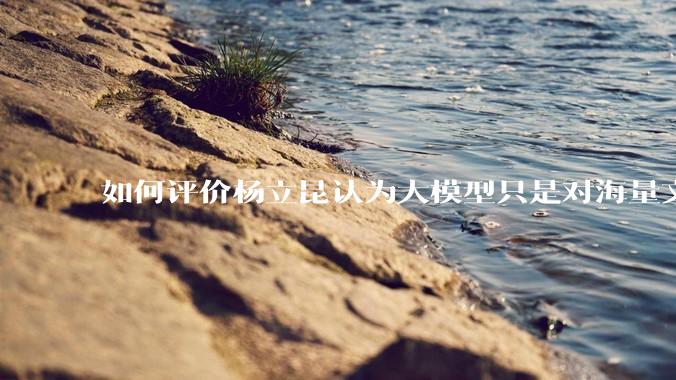 如何评价杨立昆认为大模型只是对海量文本的模式进行复杂拟合，根本不懂意义？